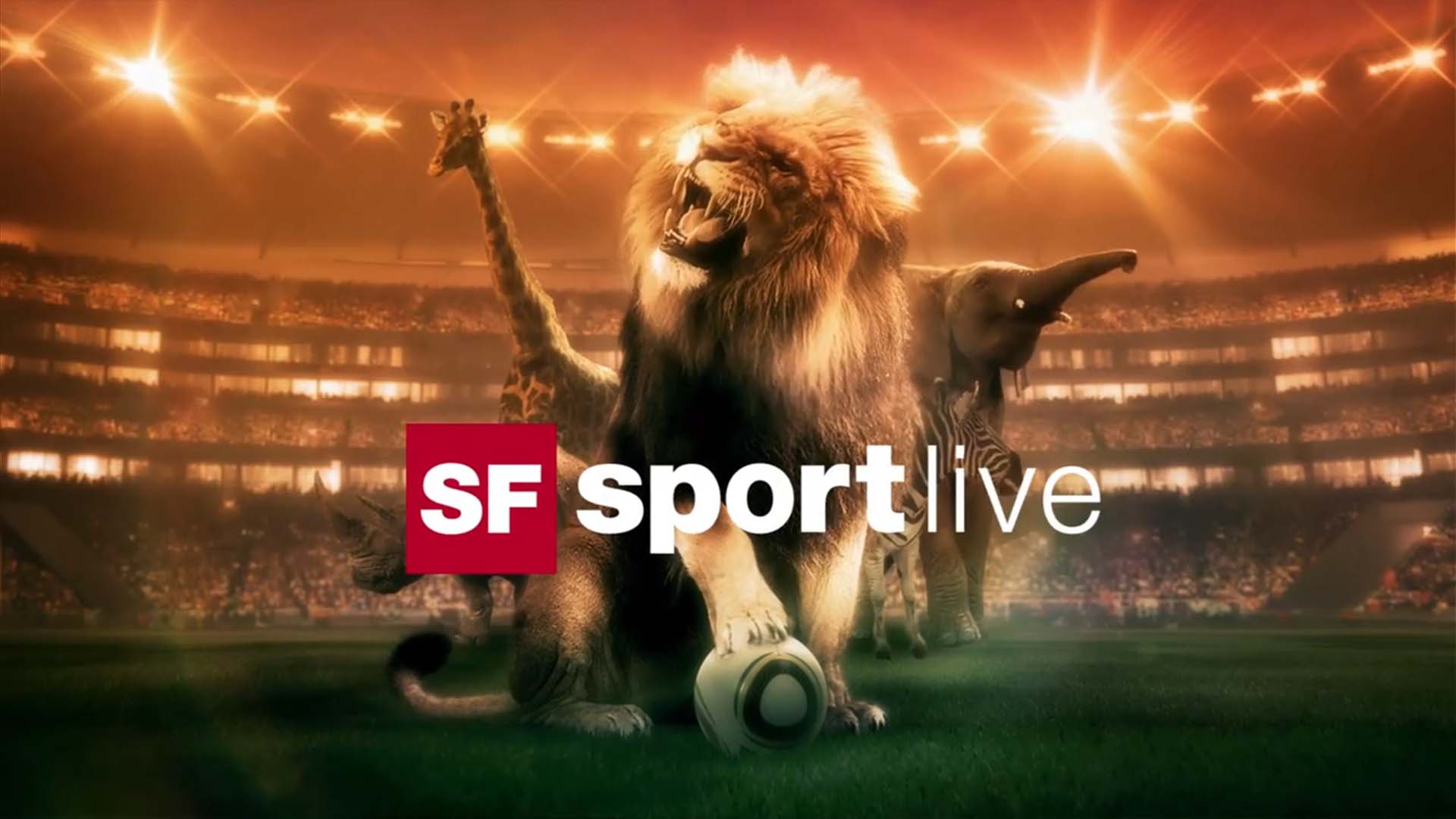 srf sport live fifa wm 01